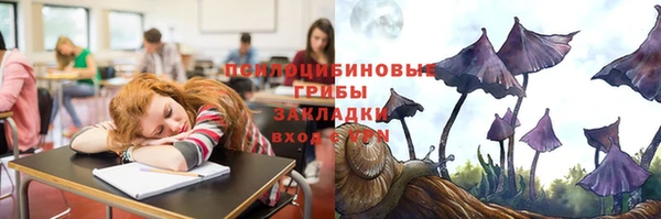 круглые Аркадак