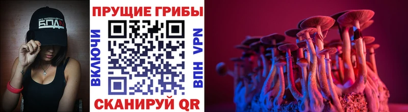 Псилоцибиновые грибы GOLDEN TEACHER  блэк спрут рабочий сайт  Феодосия 