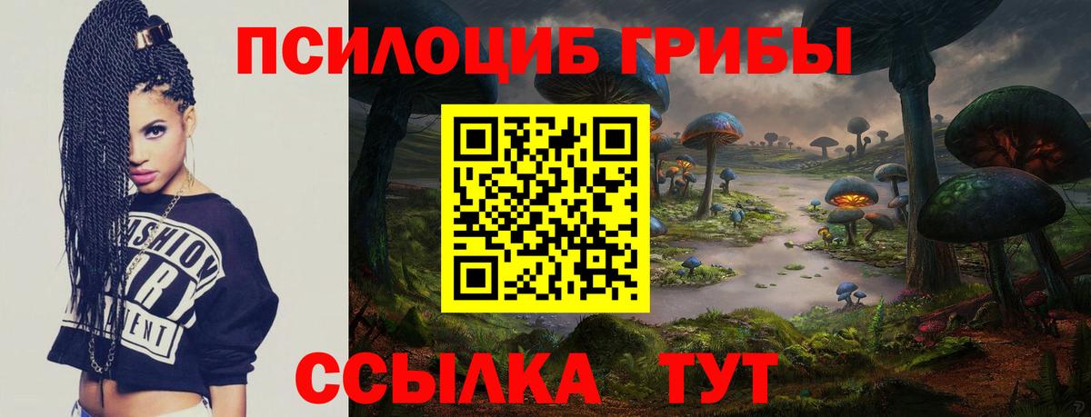 Псилоцибиновые грибы мицелий Феодосия