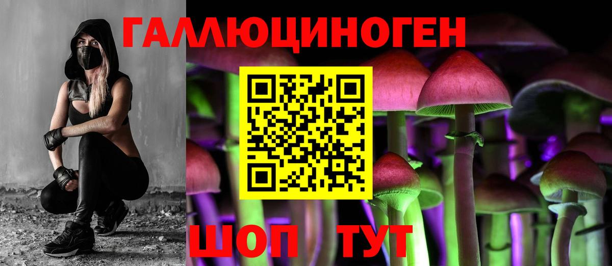 Псилоцибиновые грибы Psilocybine cubensis  Вход с VPN  Феодосия 